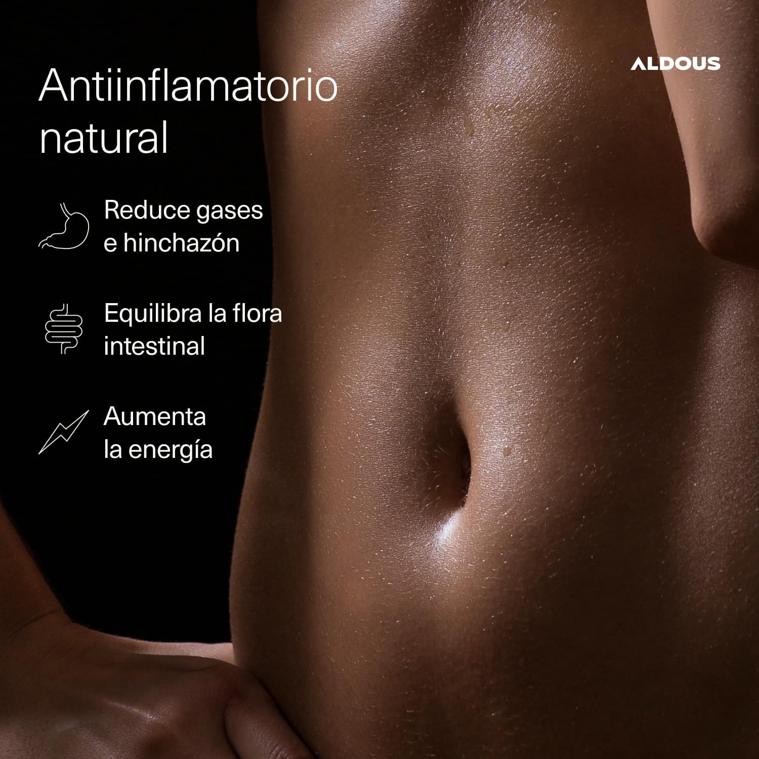 ALDOUS  PROBIÓTICOS + BIO Cúrcuma con Jengibre y Pimienta Negra - 1460mg - con Curcumina y Piperina - Antiinflamatorio Natural 250 capsulas