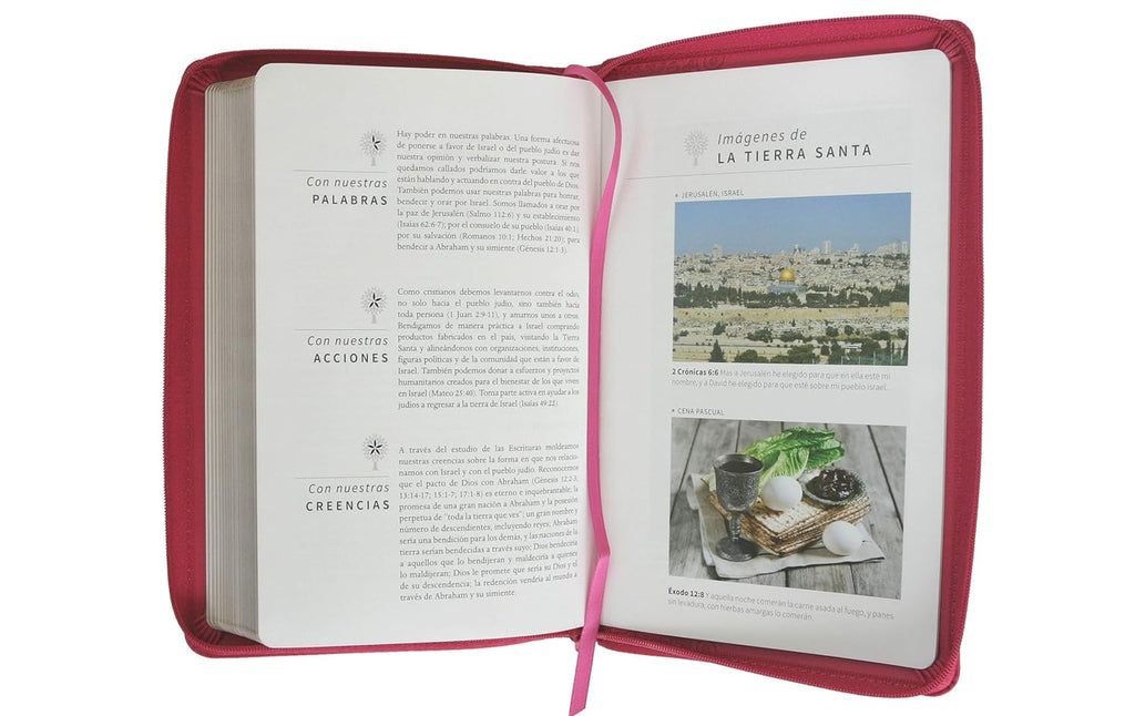 Biblia RVR 1960 Letra Grande Fucsia Cremallera | Símil Piel Tamaño Manual