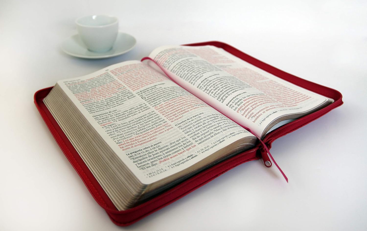 Biblia RVR 1960 Letra Grande Fucsia Cremallera | Símil Piel Tamaño Manual