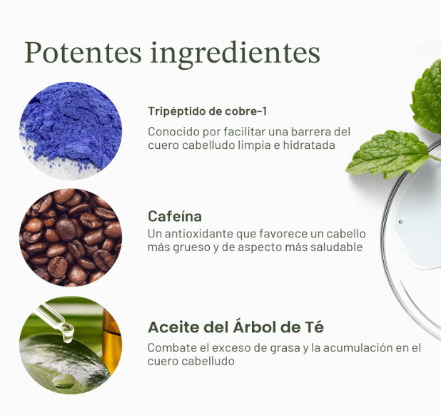 Divi Scalp Serum para Cabello Fino | Aminoacidos, Cafeina y Aceite de Romero
